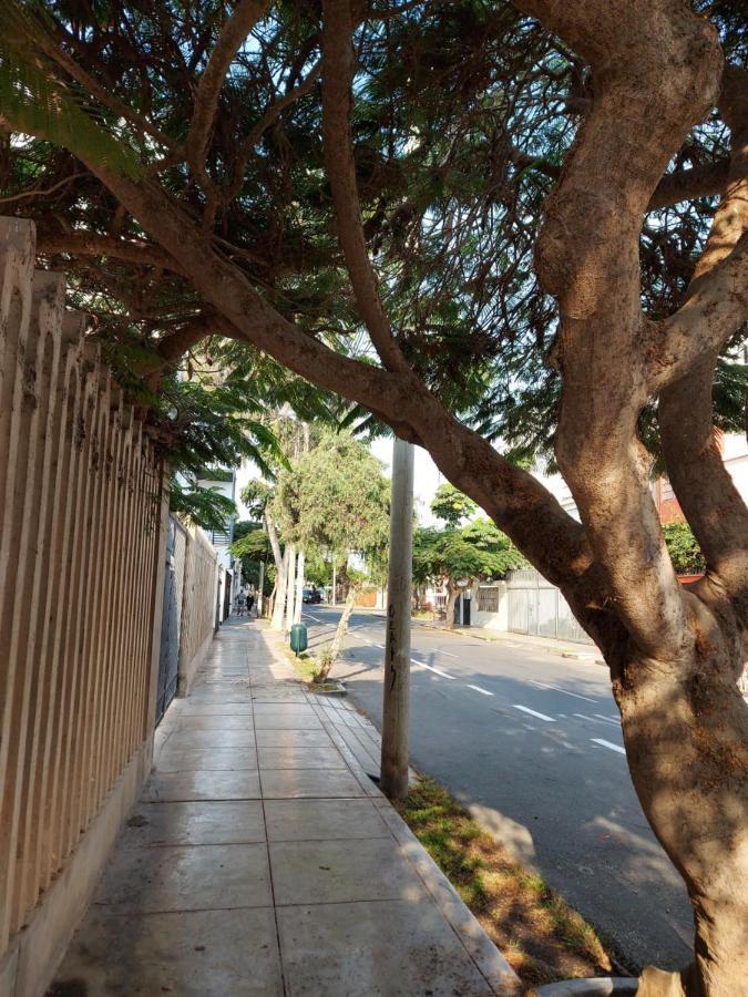 Cozy And Fully Furnished In Miraflores Apartamento Lima
